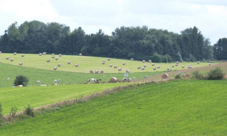 Paysage1 Thumbnail