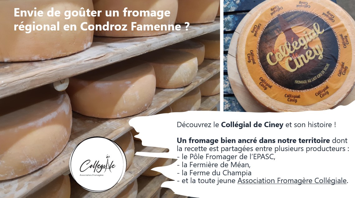 Association fromagère