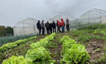 Biodiversité cultivée maraichage