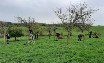 Formation plantation