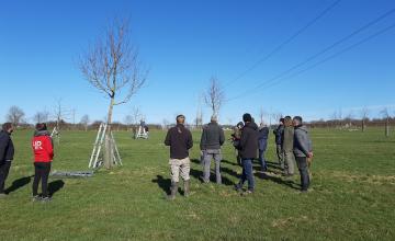 Formation à la taille de formation et à l’entretien de jeunes arbres fruitiers (<10 ans)