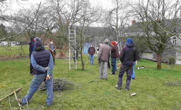 Formation à la taille de restauration et à l’entretien d’arbres fruitiers de plus de 10 ans