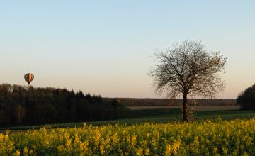 WDI : Image galerie 3 Thumbnail
